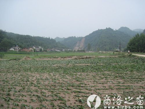 農作物受災920公頃,其中:絕收210公頃,水毀河堤72公里、耕地210公頃,灌渠24公里,自來水管線180公里。圖為趙