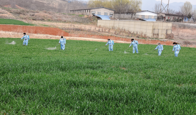 商洛市各地春耕備耕生產忙