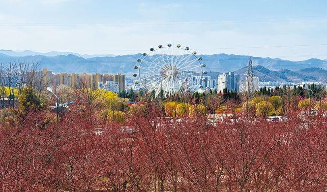 春意笑意兩相宜