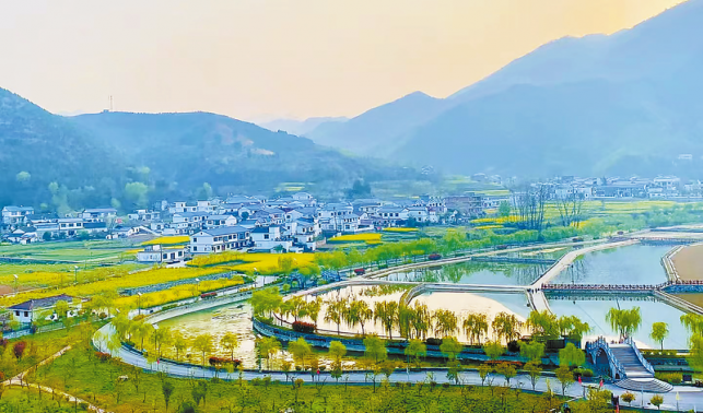 繁花次第開 盛景迎客來