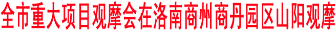 商洛市重大項目觀摩會在洛南商州商丹園區山陽觀摩