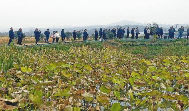 農技賦能 鄉村振興