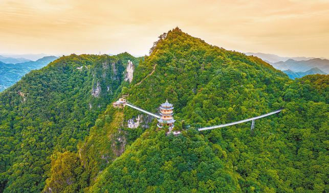 秦嶺腹地護青綠