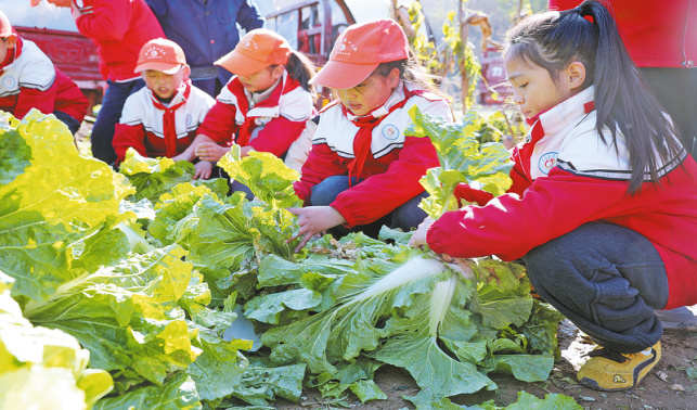 從課堂到田間 勞動教育“接地氣”