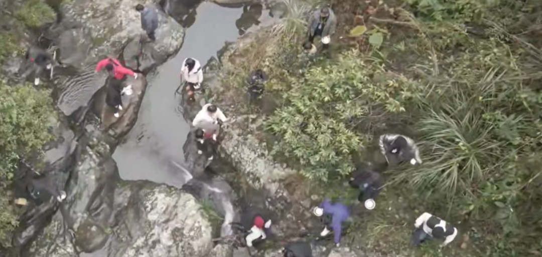 又一地“荒野求生賽”被緊急叫停！