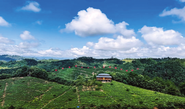 守護綠水青山 繪就生態畫卷