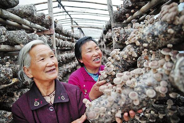 商州構(gòu)建大扶貧格局 全力打好精準脫貧攻堅戰(zhàn)