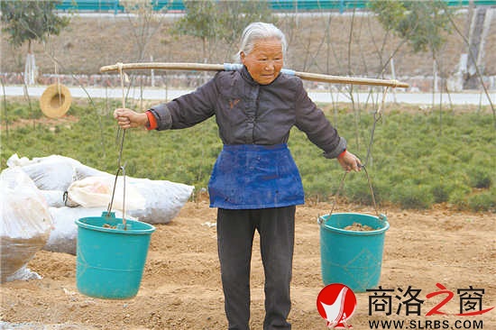 83歲的郭福堂依舊堅持勞作