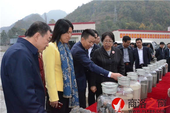 市上領導觀摩御石尾礦綜合利用項目