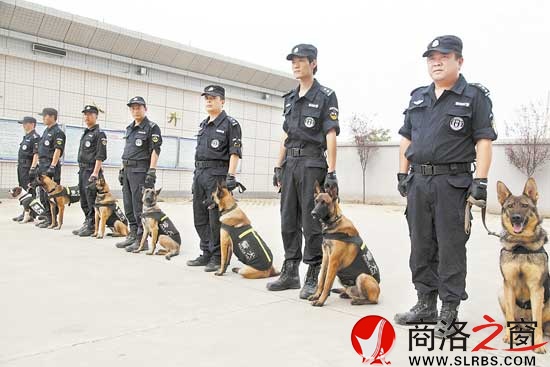 訓犬員和他們的“戰(zhàn)友”隨時準備出警