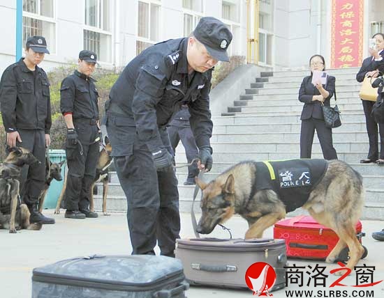 王琪帶領尼克在演練中搜尋毒品