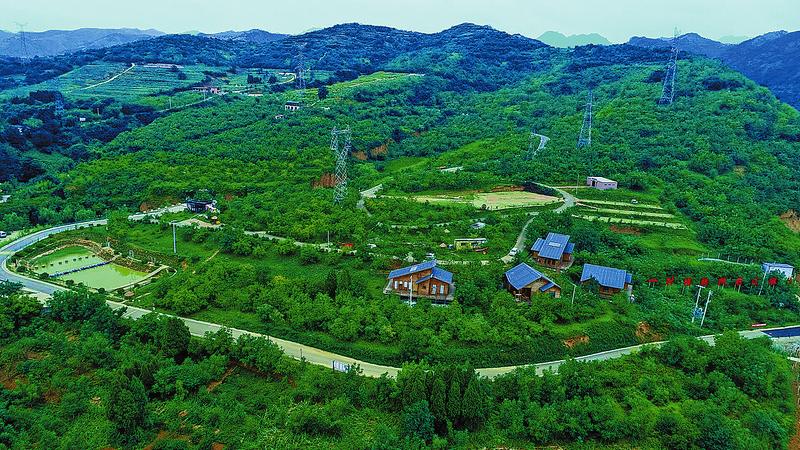 陌上花正艷 鄉村展新顏