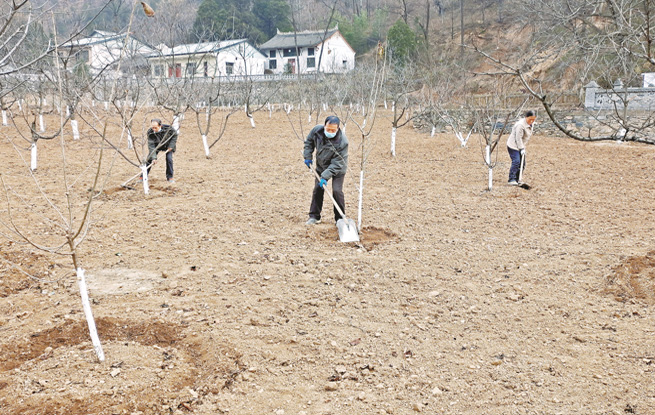 興富民產業 建美麗鄉村