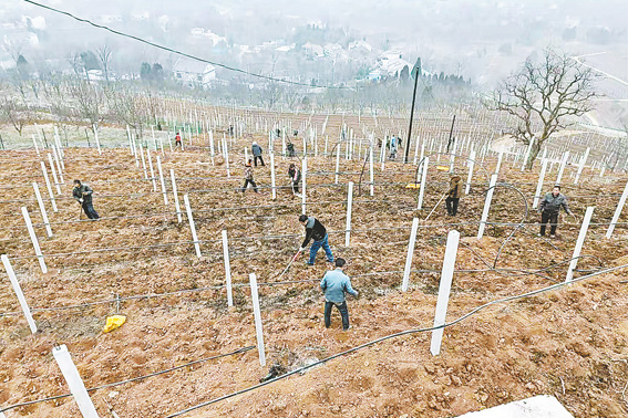 不負農時春耕忙