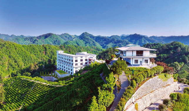 項目建設熱潮涌動 產業發展勢頭強勁