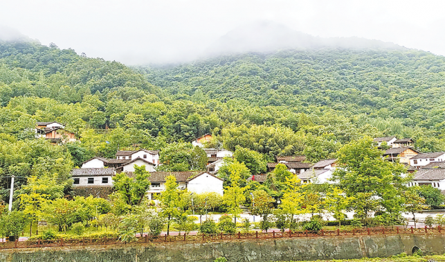 鄉(xiāng)村既有“顏值”更有“產(chǎn)值”