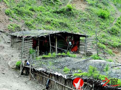 王占民山頂?shù)姆孔优c牛棚相連，房頂長滿了野草。